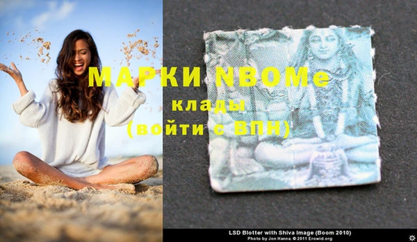 амф Шали