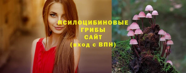 стафф Шадринск