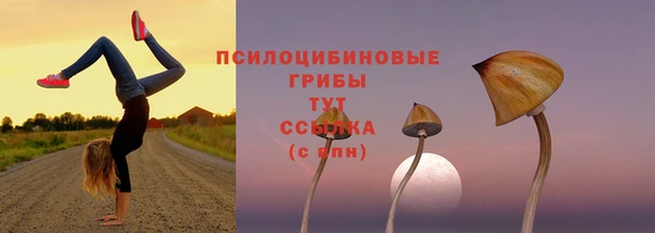 амф Шали