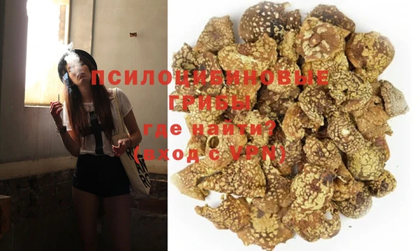амф Шали