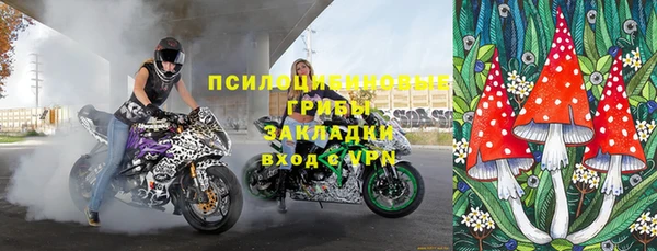 стафф Шадринск