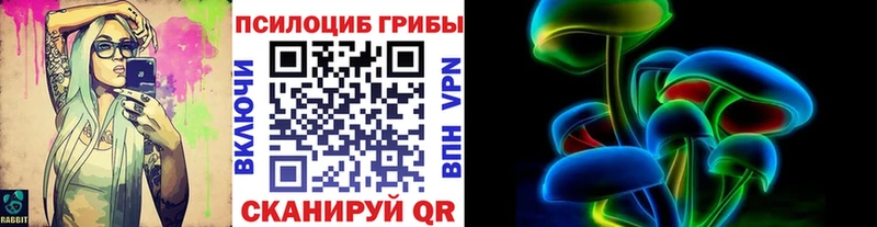 Псилоцибиновые грибы GOLDEN TEACHER  Стерлитамак 