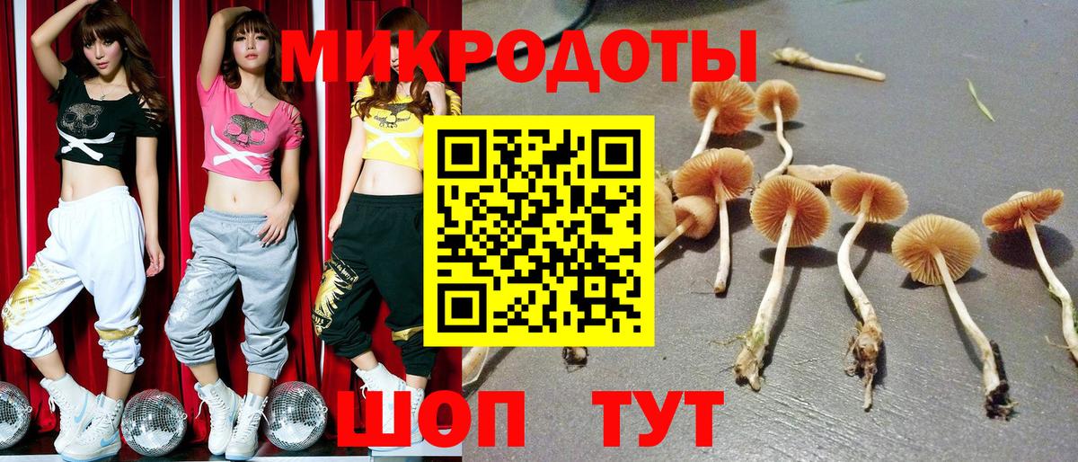 Стерлитамак  Псилоцибиновые грибы Cubensis  Вход с VPN 